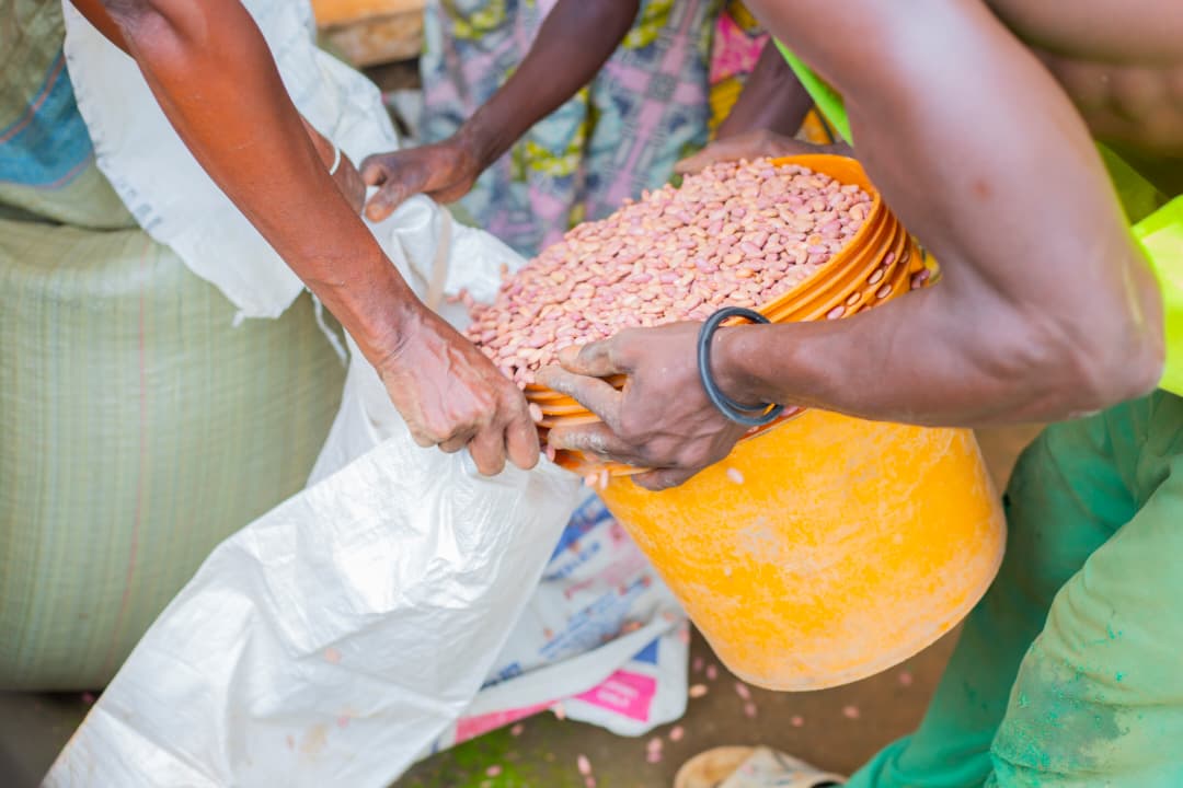 Visite de terrain dans les zones d'intervention