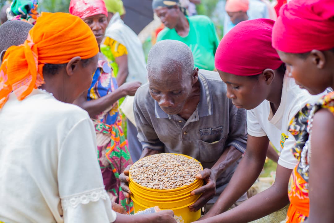 Renforcement des capacités
